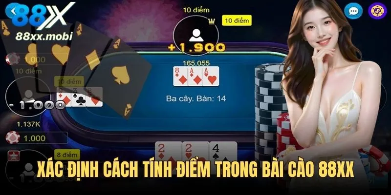 Xác định điểm trong Bài Cào 8XX